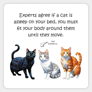 Experts agree if a cat is asleep on you, you must fit your body around them - funny watercolour cat design Magnet